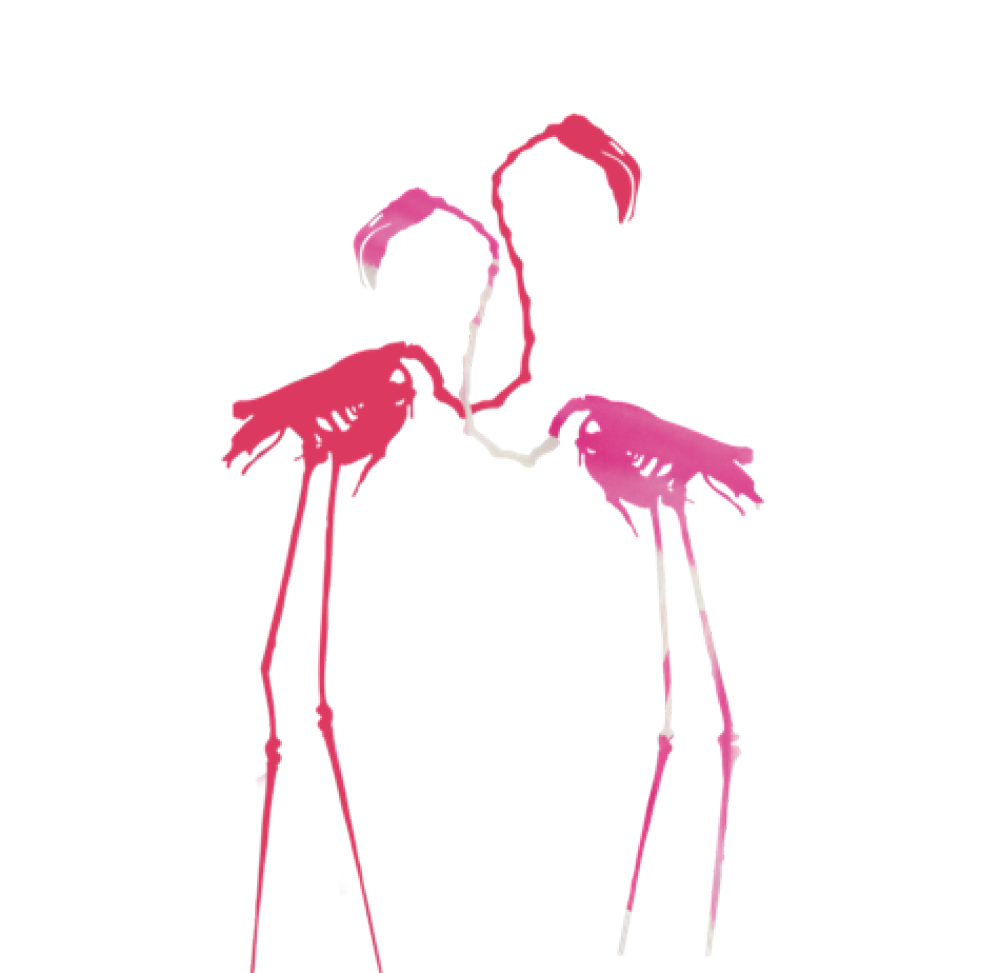 Flamingoes-